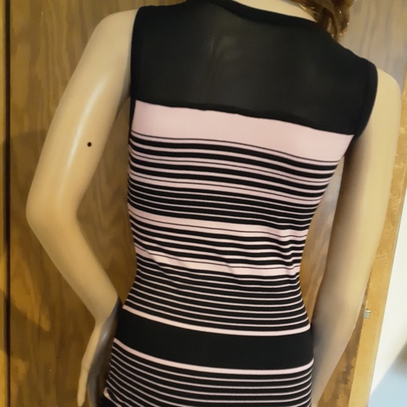 NWOT! Form Fitting Dress Sheer Black Pink Stripes - Picture 8 of 8
